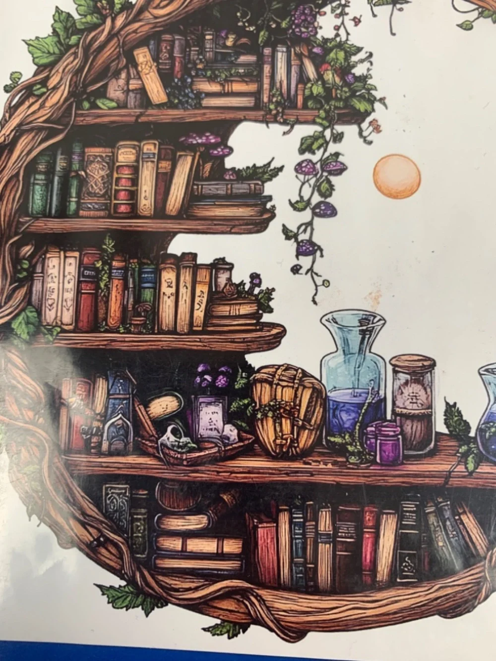 Cross Stitch Kit Crescent Moon Bookcase Stamped 14 Count NEW Whimsy Witchy